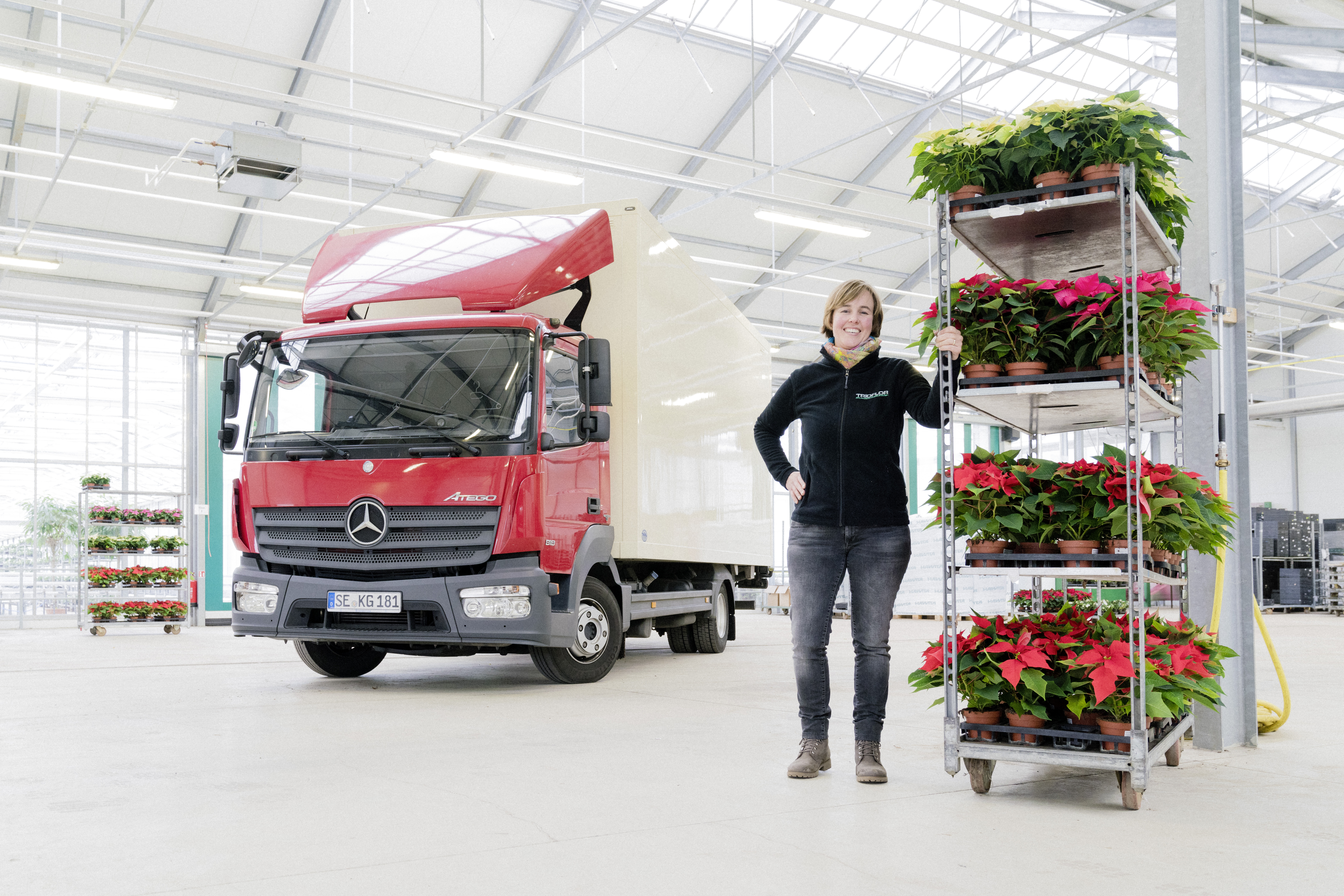 Mercedes Atego 818 Inga Balke