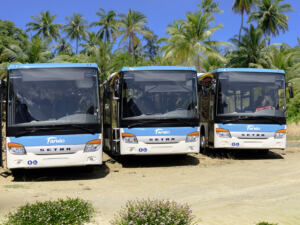 Daimler nuovi autobus Nuova Caledonia